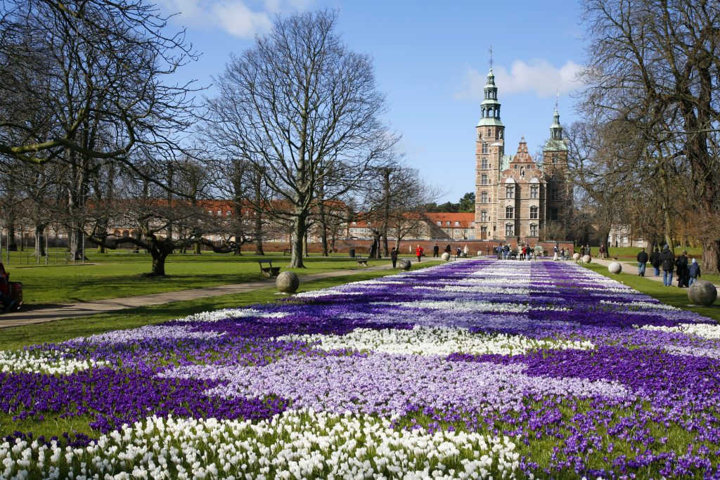 City Tour com Rosenborg